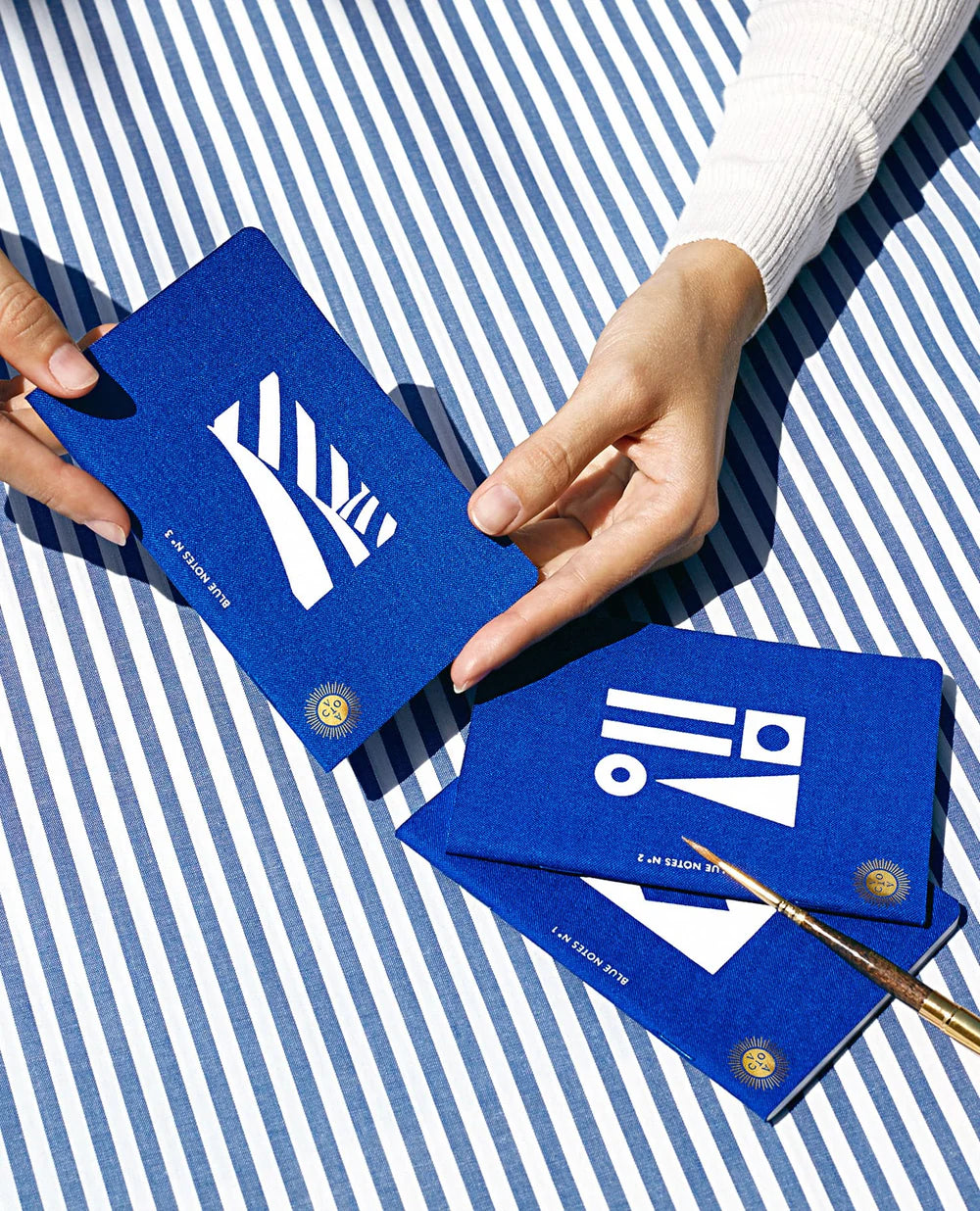 Carnets de notes Passeport bleu